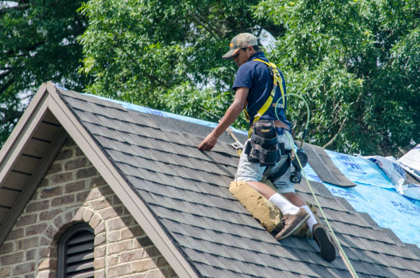 Best Gutter Installation and Roofing  in Rincon, GA
